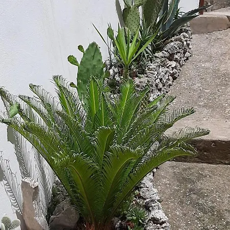 Ruzica Apartamento Zaostrog