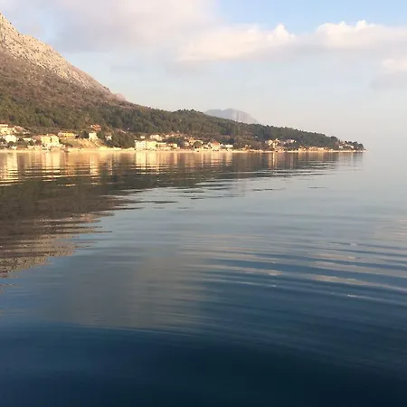 Ruzica Zaostrog